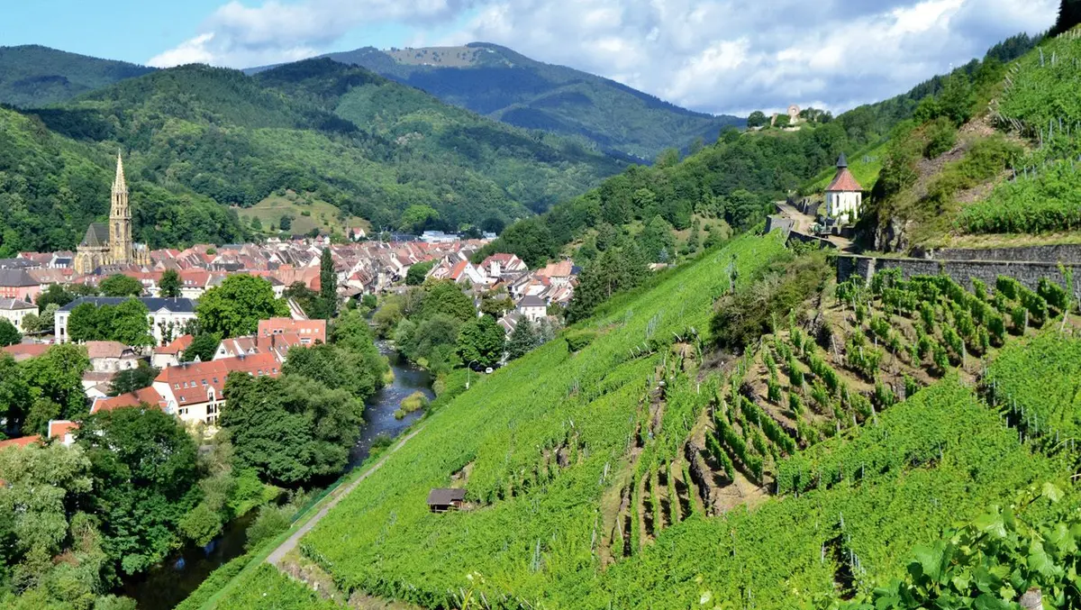 Le Rangen de Thann est aussi chouette à arpenter qu'à boire...