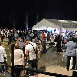 Grand festival de danses des îles
