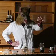 Grand jeu d'Halloween à Terres d'oiseaux