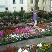 Grand marché aux fleurs