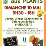Grand Marché Aux Plants