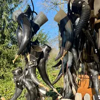 Grand marché médiéval du Herzogenriedpark DR