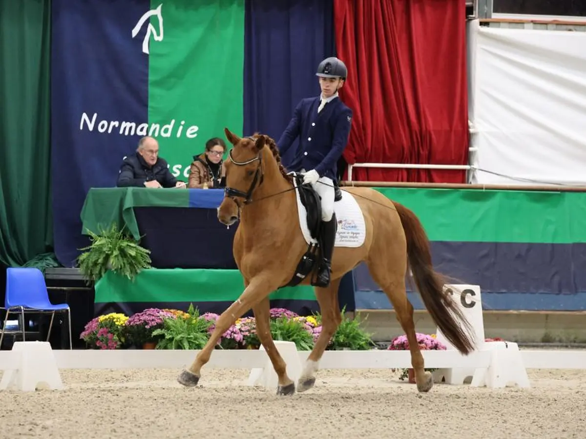 Grand national de dressage 2026
