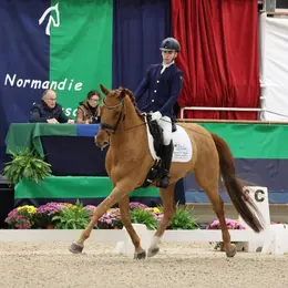 Grand national de dressage 2026
