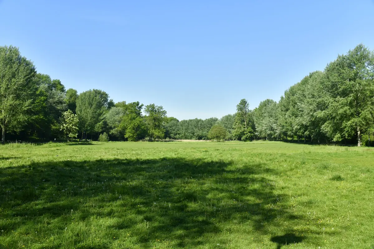 Grand Pré / Parc du Brulig
