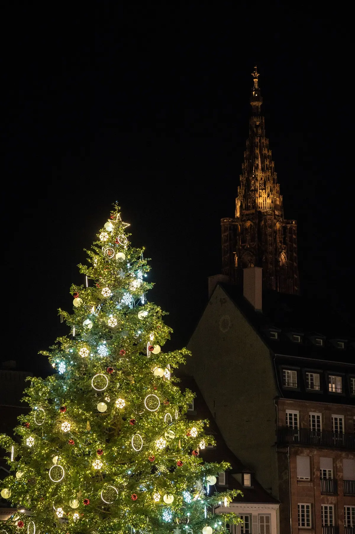 La beauté du Sapin de la Place Kléber, sous le regard de la Cathédrale