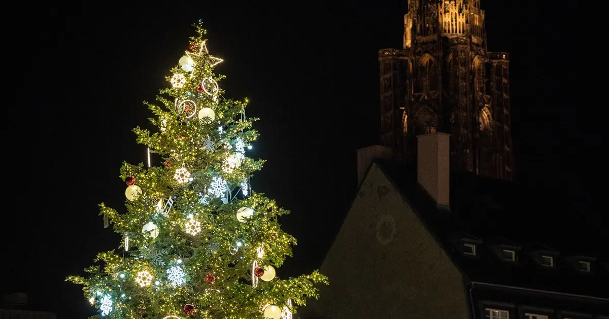 La beaut&eacute; du Sapin de la Place Kl&eacute;ber, sous le regard de la Cath&eacute;drale