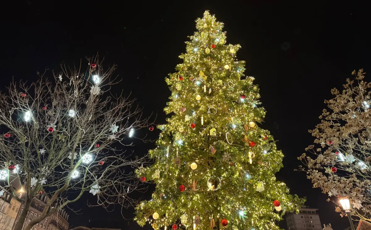 Le sapin de No&euml;l du march&eacute; de No&euml;l de Strasbourg en 2025