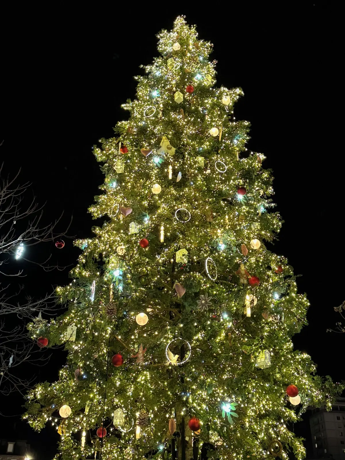 Le sapin de Noël 2025