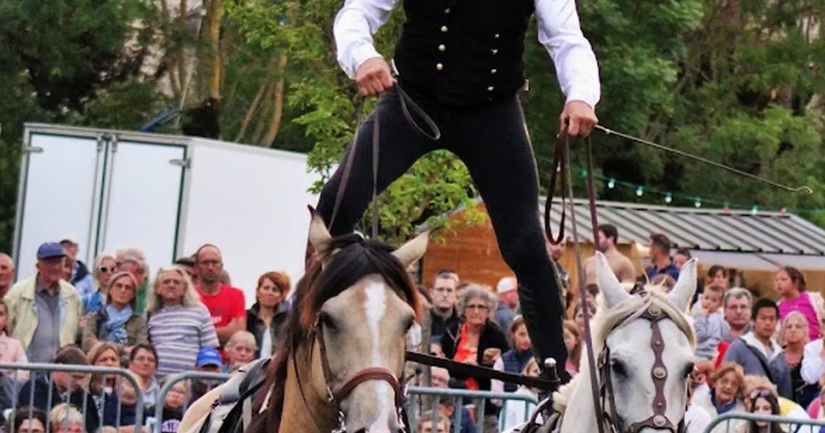 Grand spectacle équestre