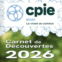Grand tetras en toute discrétion - Sortie CPIE