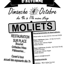 Grand vide-greniers d'automne