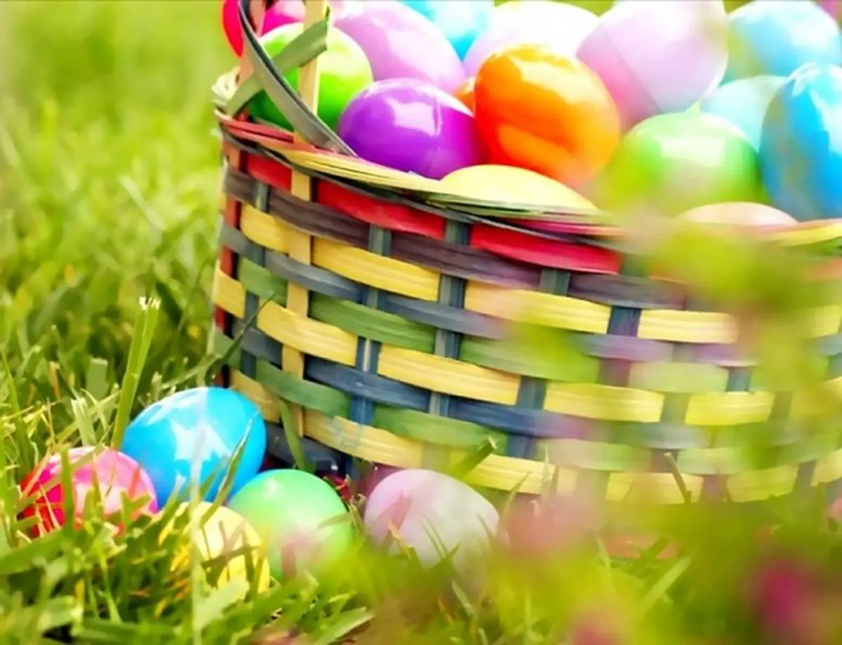 Grande chasse à l'oeuf