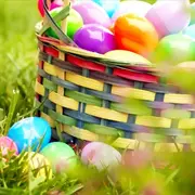 Grande chasse à l'oeuf