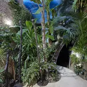 Grande chasse aux oeufs à la Maison PARRA