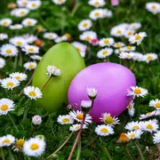 Grande chasse aux œufs de Pâques au Domaine de Poulaines