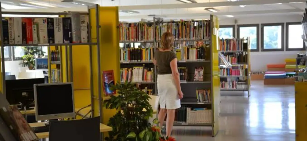 Grande expo de rentrée La tête dans les livres - Bibliothèque Andre-Périgord - Feytiat