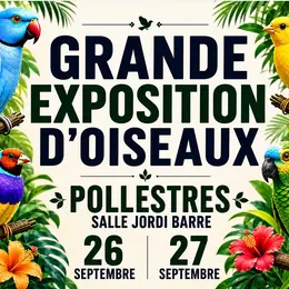 Grande Exposition D'Oiseaux