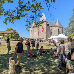 Grande Fête Médiévale au Château de Brie