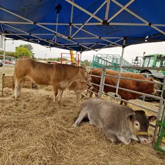 Grande Foire Agricole