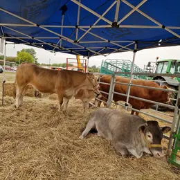 Grande Foire Agricole