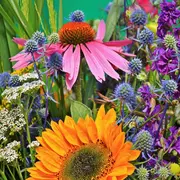 Grande foire florale, artisanale, gastronomique et vide grenier