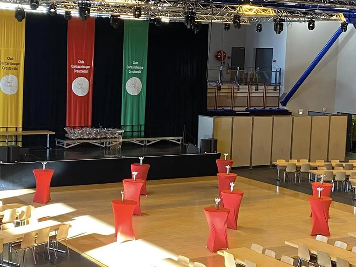 Grande matinée carnavalesque