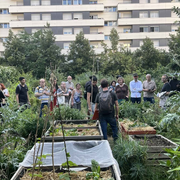 Grande Randonnée des Jardins du quartier Rosa Parks