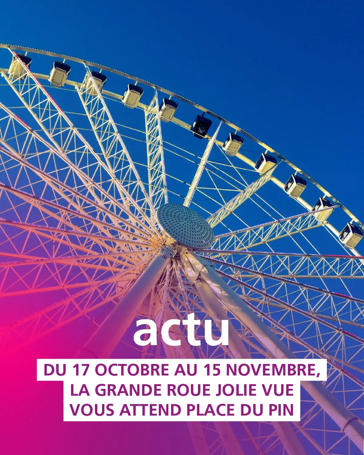 Grande roue Jolie Vue