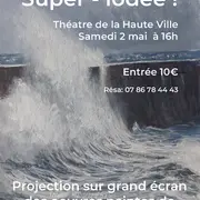 Granville Super-iodé! : vidéoprojection sur grand écran des peintures de l'artiste granvillais François Bihorel