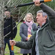 Greffage des arbres fruitiers