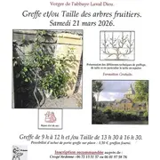Greffe et taille des arbres fruitiers