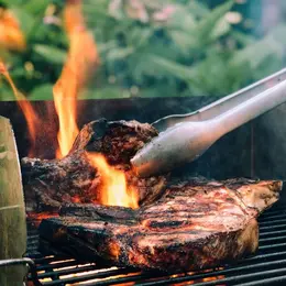 Grillades de biche