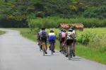 Pour organiser une balade à vélo à plusieurs, rien de mieux que de rejoindre un club de cyclisme !