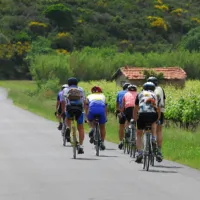 Pour organiser une balade à vélo à plusieurs, rien de mieux que de rejoindre un club de cyclisme ! &copy; Avatar444 - fotolia.com