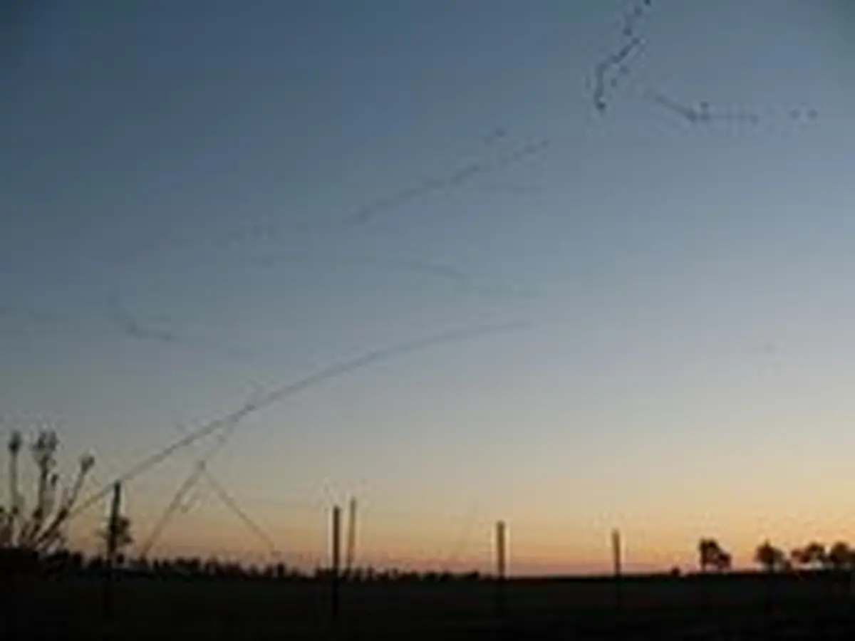 Grue cendrée et gastronomie landaise