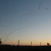 Grue cendrée et gastronomie landaise