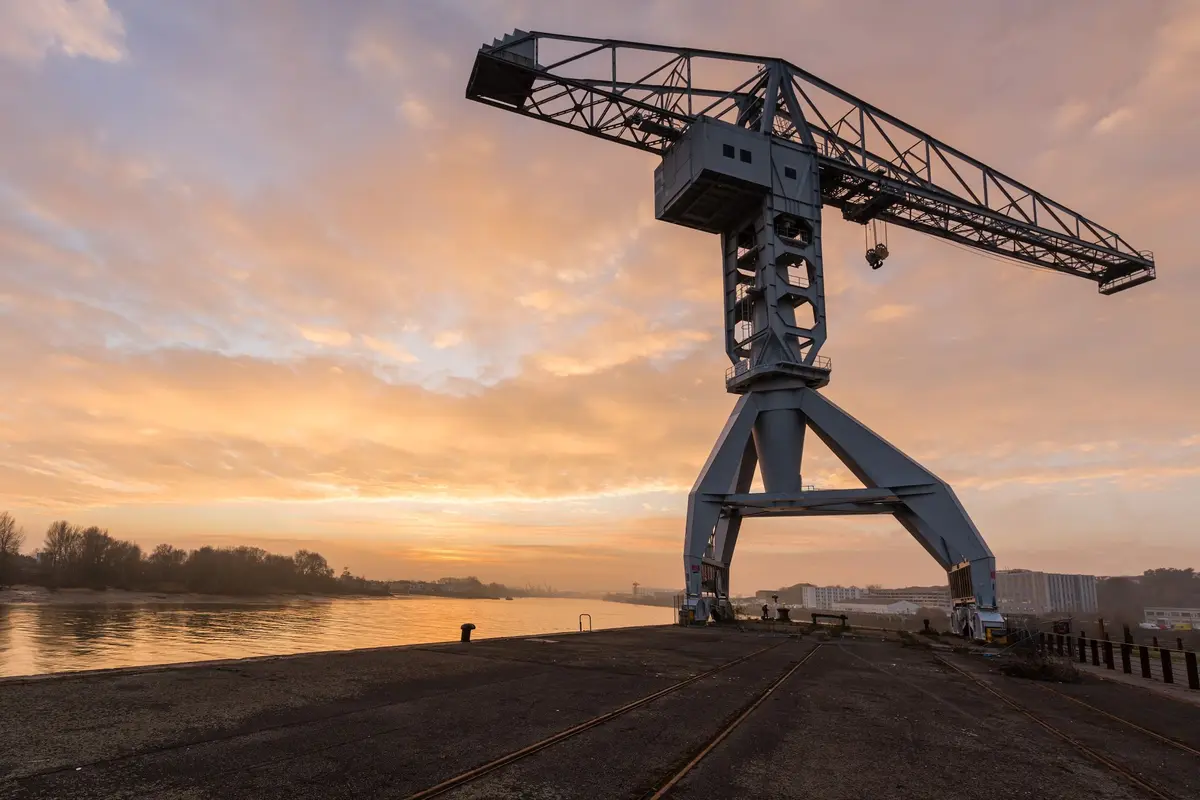 Grue Titan grise
