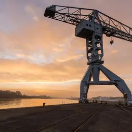 Grue Titan grise