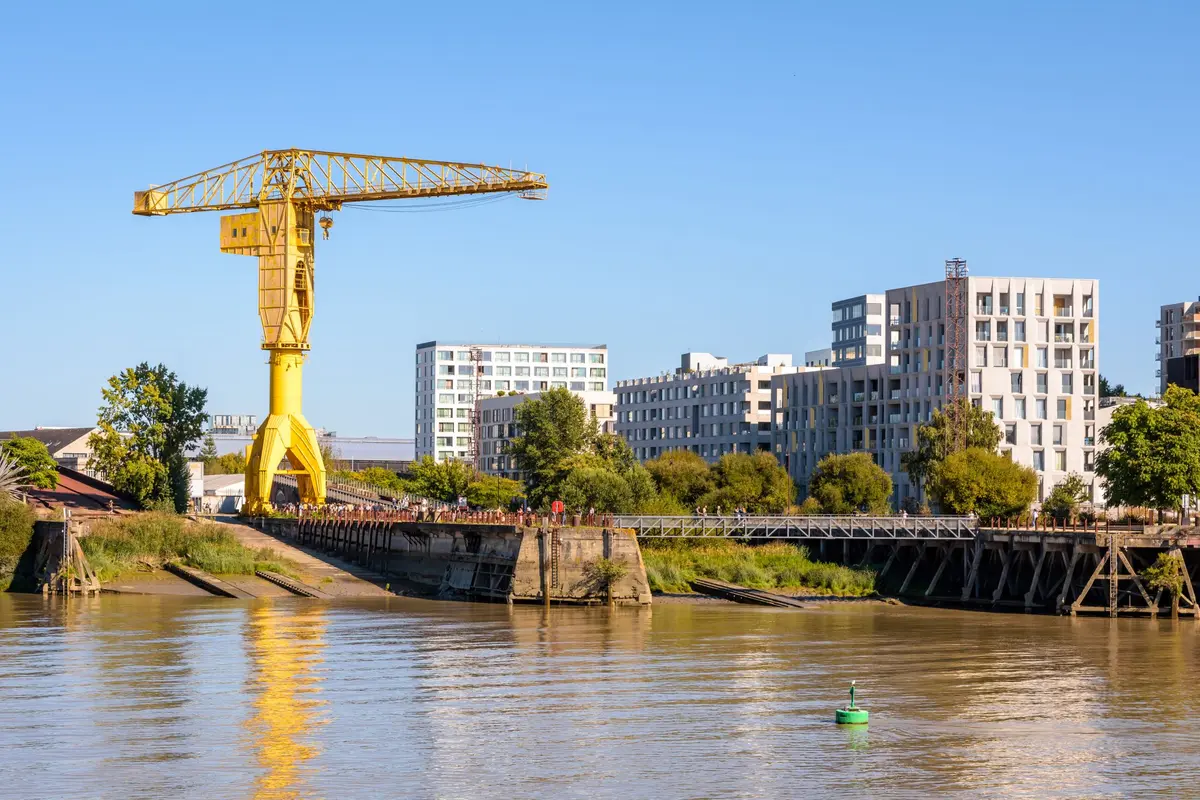 Grue Titan Jaune