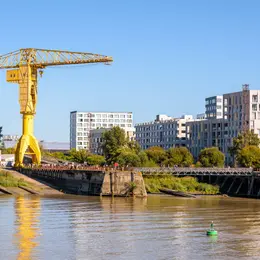 Grue Titan Jaune
