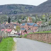 Escapade sur les hauteurs de Gueberschwihr