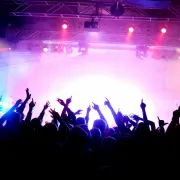 GUESS MY NAME (groupe de covers)