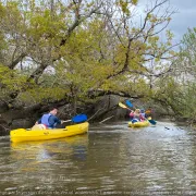 Guide privé canoë-kayak et découverte faune flore
