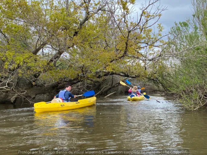 Guide privé canoë-kayak et découverte faune flore
