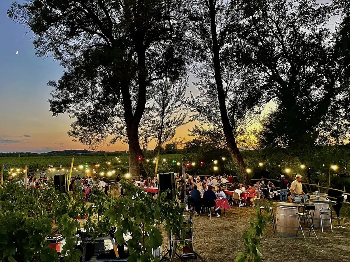 Guinguette La Cabane du vigneron des Vignobles Turtaut