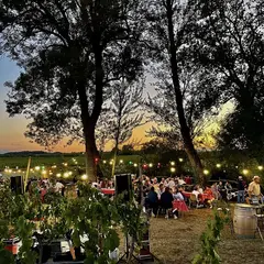 Guinguette La Cabane du vigneron des Vignobles Turtaut