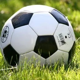 Guinguette Masmangeas : Retransmission coupe du monde