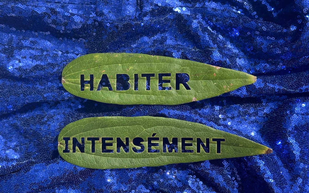 Habiter intensément (CHANTIER DES AUTEUR·ICES)
