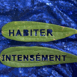 Habiter intensément